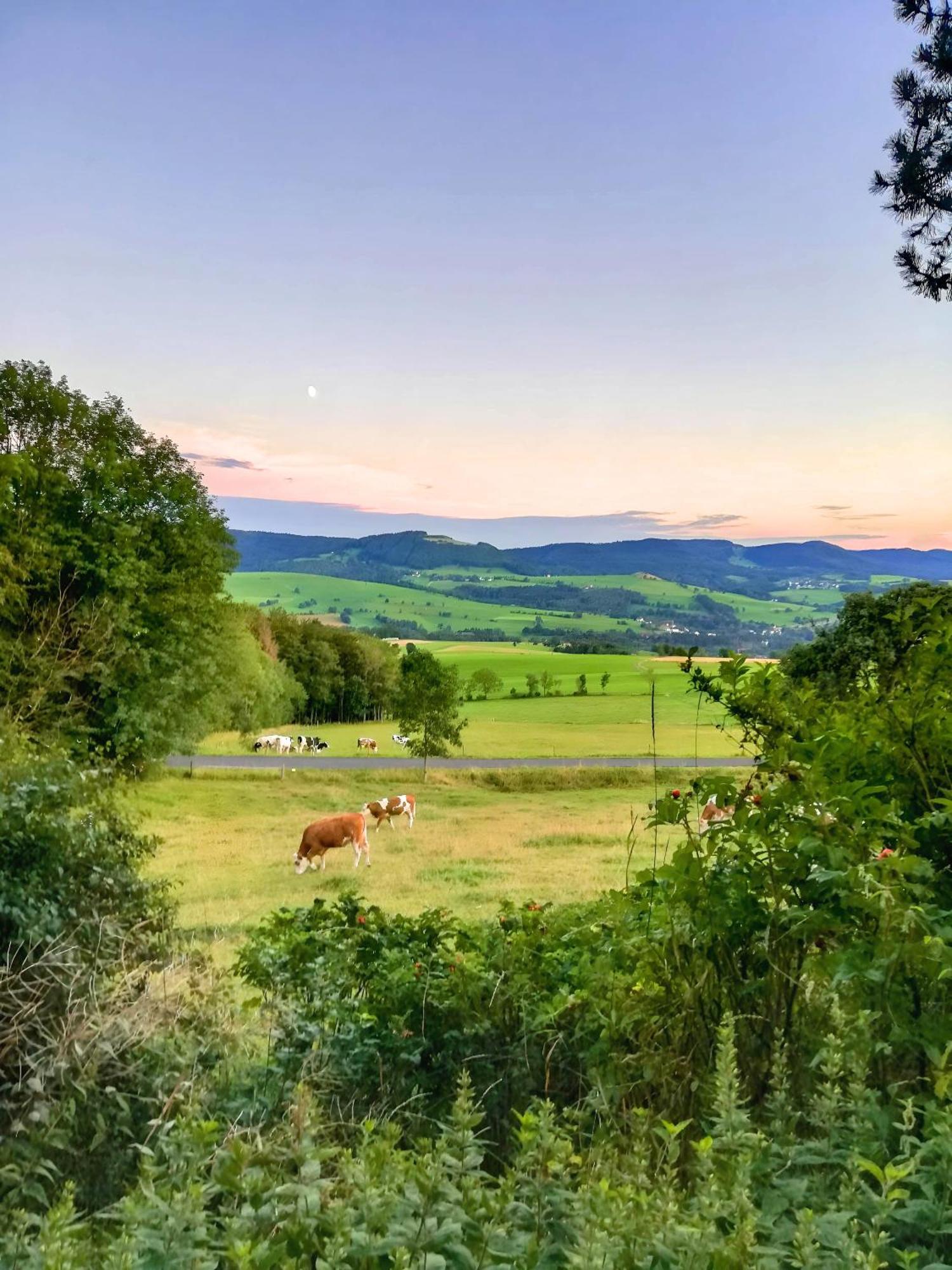 Ferienwohnung Rhoenpanorama Gersfeld Esterno foto